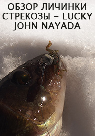 Обзор личинки стрекозы - Lucky John Pro Series Nayada