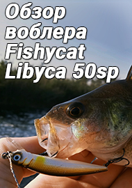 Обзор воблера Fishycat Libyca 50sp