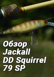 Обзор Jackall DD Squirrel 79 SP