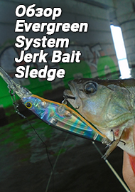 Фавориты. Семёрка. Обзор Evergreen System Jerk Bait Sledge-7 SP.