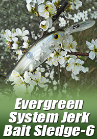 Фавориты. Треугольник. Обзор Evergreen System Jerk Bait Sledge-6 SP.