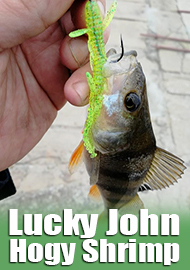 Обзор Lucky John Hogy Shrimp – особая «креветка»