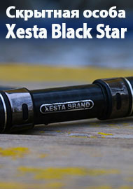 Скрытная особа. Обзор Xesta Black Star Solid TZ Tuned S69-S