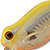 Воблер Imakatsu Waddle Buggy 385 skeleton yellow