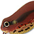 Воблер Imakatsu Waddle Buggy 386 Yamahara frog