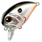 Воблер Kosadaka Boxer XS (8,5г) GT