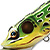 Воблер LiveTarget Frog Popper 500 Green/Yellow