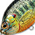 Воблер LiveTarget Sunfish Flat Side Crankbait PS 102 Metallic/Gloss