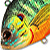 Воблер LiveTarget Sunfish Rattlebait PS 100 Natural/Matte