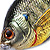 Воблер LiveTarget Sunfish Wakebait BG 102 Metallic/Gloss