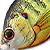 Воблер LiveTarget Sunfish Wakebait PS 100 Natural/Matte