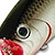 Воблер Lucky Craft Malas (9г) 077 Original Tennessee Shad