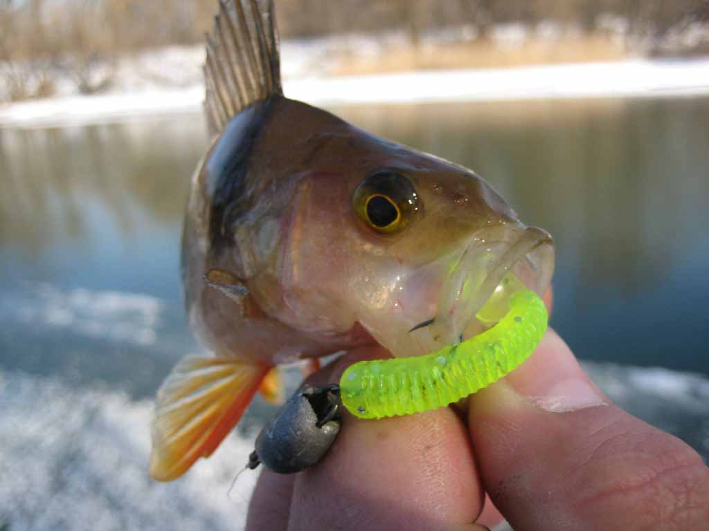Твистер LJ Pro Series Chunk Tail