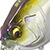 Воблер Megabass SonicSide (15 г) HT Ito Tennessee Shad