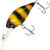 Воблер Mottomo Chubber DR 36F (4 г) Bumblebee