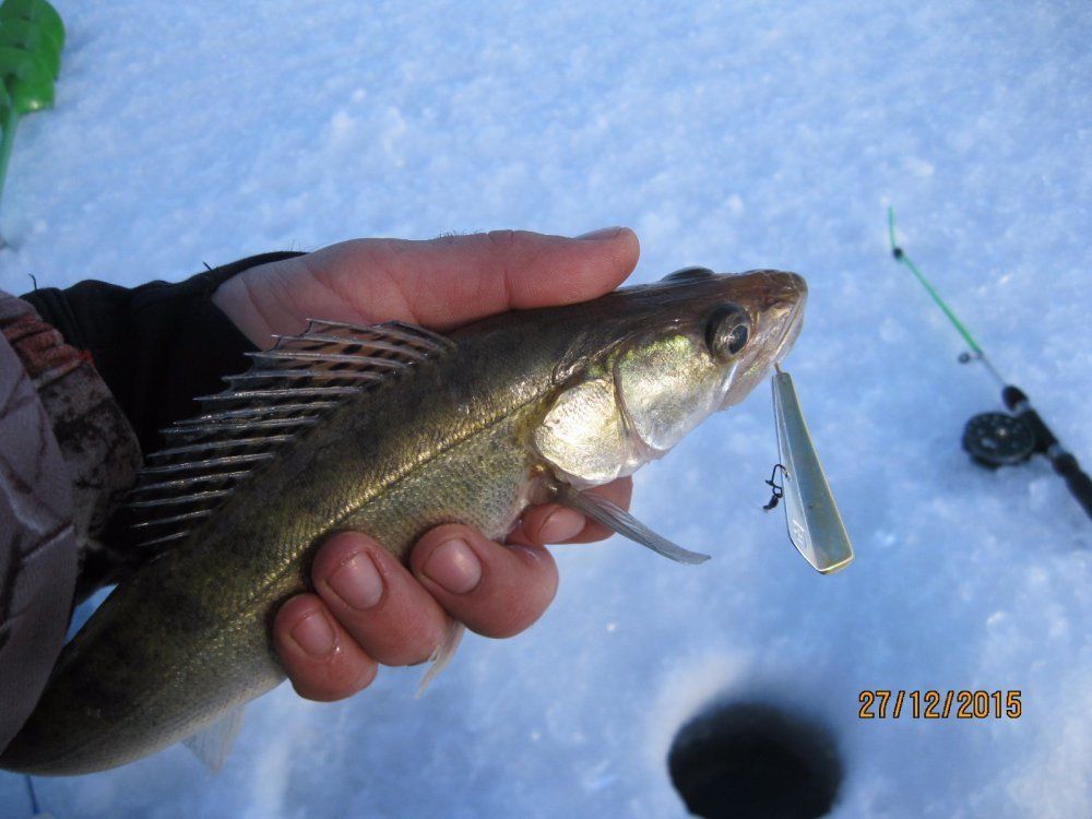 блесна rb parus купить блесна rb parus купить