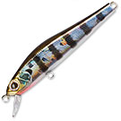 Воблер Zipbaits Rigge 56SP (3,1г) 509R