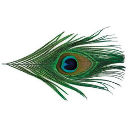 Перья Superfly Peacock Eyes