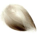 Перья с крыла селезня Veniard Mallard Duck wing quills