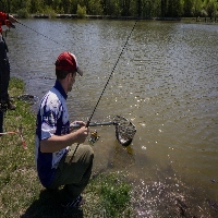 Обзор катушки Kosadaka Viper 2000LC