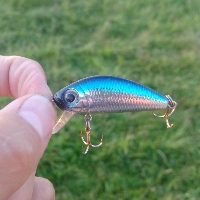 Как я разловил L-Minnow