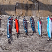 Колеблющаяся блесна Abu Garcia Toby. Культ новичка и профессионала.