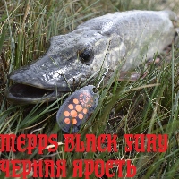 Обзор блесны Mepps Black Fury. Черная ярость