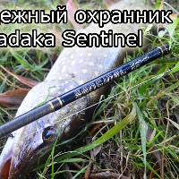 Надежный охранник Kosadaka Sentinel. Обзор