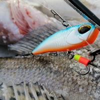 Обзор раттлина Usami Daiba