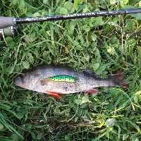 Обзор Black Hole BASSMANIA S-662M. Любимая палочка для воблеров до 100мм