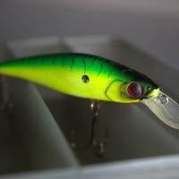 Kosadaka Meta XS 65F и Kosadaka Meta XS 80F - отличные универсалы по хищнику