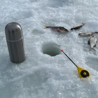 Надежный спутник. Термос Арктика современный 105.