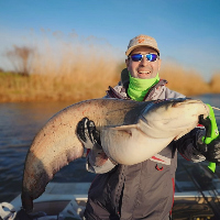 Обзор Kosadaka Alligator доступного силового удилища для троллинга и донки.