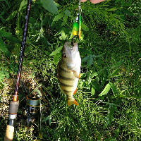 Универсальный MAXIMUS High Energy - x 2,7 м.