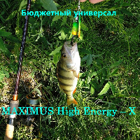 Универсальный бюджетный спиннинг для начинающий - это MAXIMUS