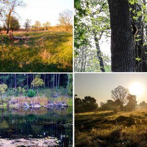 Отличная цель для щуки. Обзор Kosadaka Meta XS 80F.