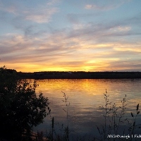 До победного… сома.