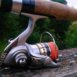 Обзор безынерционной катушки Daiwa Crest: недорогая, но надежная