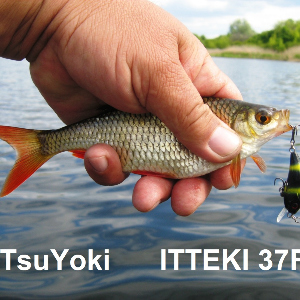 Обзор TsuYoki ITTEKI 37F – бесценная капля успеха.