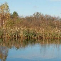 Максимальная ИОНИЗАЦИЯ.