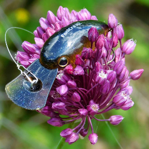 Обзор Jackall Timon Panicra – идеальный крэнк для ультралайта!