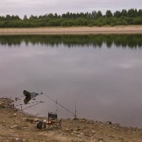 Kosadaka Viper 2500L.