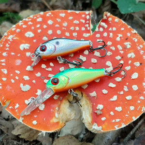 "Микро-Ионы" в деле! Обзор Kosadaka ION XS 32F и ION XL 32F