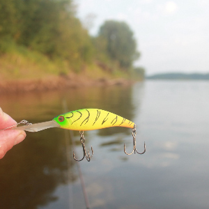 Исследователь глубин. Обзор Kosadaka Troll DD 80F