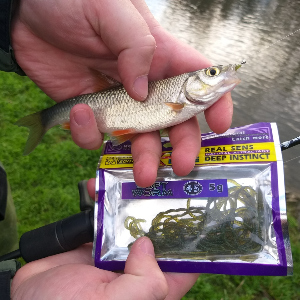 Серый червь - Обзор Kosadaka Soft Worm