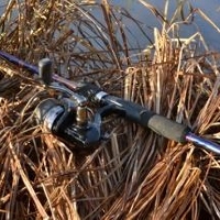 Бассу по мордассу! Kosadaka Absolut Bass Special.