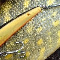 Воблеры на Щуку