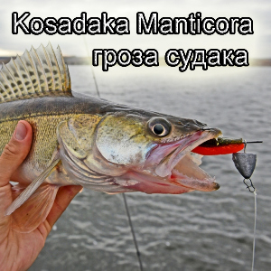 Kosadaka Manticora - гроза судака. Обзор
