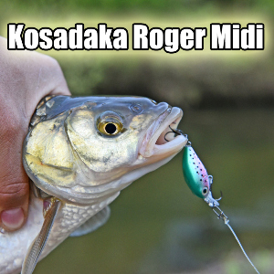 Юркий универсал. Обзор на Kosadaka Roger Midi