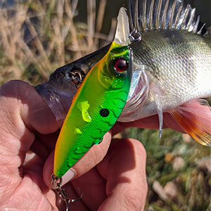 Обзор воблера Kosadaka Inborn XS 60F